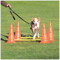 Trixie Dog Activity agility akadálypálya szett #2