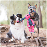 Kong Floppy Knots állatfigurák #7