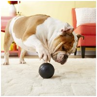 Kong Extreme Ball #9