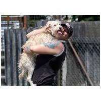 Aranyka, ivartalanított szuka kutyus #16