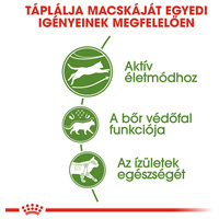 Royal Canin Outdoor - Szabadba gyakran kijáró, aktív felnőtt macska száraz táp #3