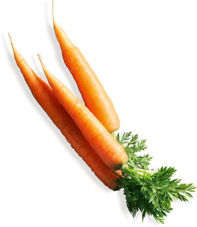 Belcando Mastercraft feltét friss marhahússal és sárgarépával