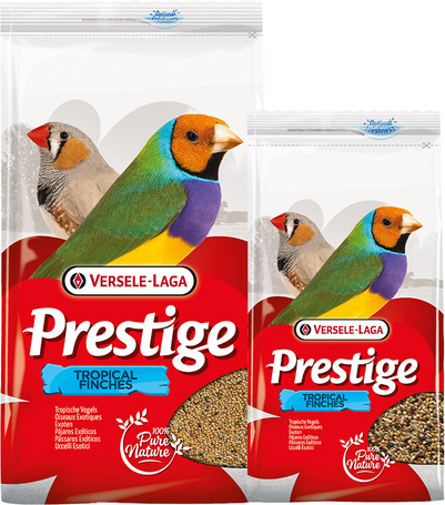 Versele-Laga Prestige Tropical Finches | Trópusi pintyeleség