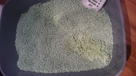 Tofu alom zöld tea illattal macskáknak