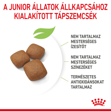 Royal Canin Giant Junior - óriás testű kölyök kutya száraz táp