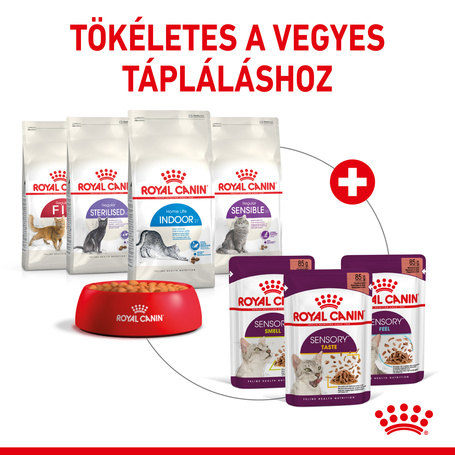 Royal Canin Sensory Feel Gravy - Szószos felnőtt macska nedves táp fokozott érzék hatással