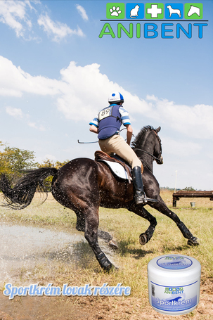 Anibent sportkrém kutyák és lovak részére, izomlazító és regeneráló hatással