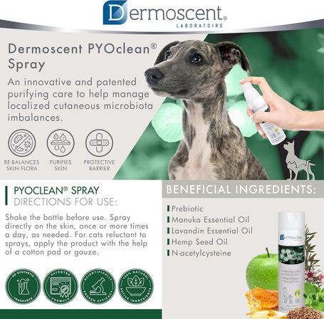 Dermoscent PYOclean Spray kutyáknak és macskáknak