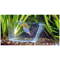 Aqua Medic rák és egyéb kártevő csapda #2