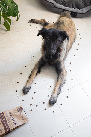 Grandorf Grain Free Duck & Sweet Potato Adult All Breeds