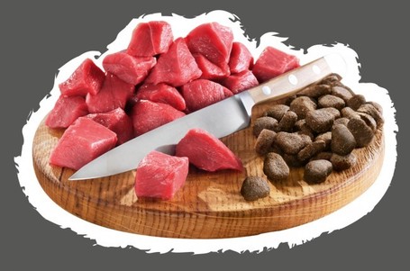 Belcando Junior Lamb & Rice | Bárányhúsos táp normál testméretű növendék kutyáknak