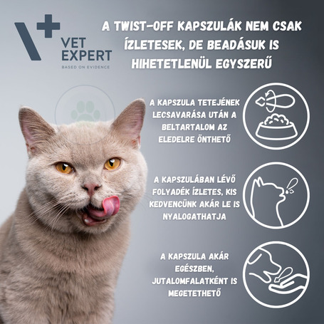 Vet Expert VetAminex