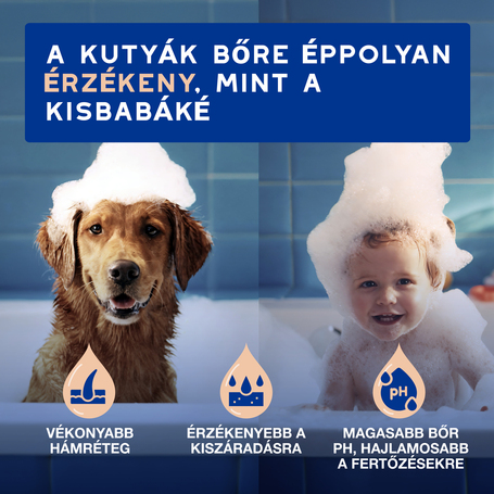 Douxo Spa vedléscsökkentő sampon kutyáknak