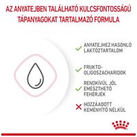 Royal Canin Babycat Milk - tejpótló tápszer kölyökmacska részére #3
