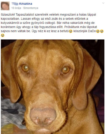 Dado Hypoallergenic Puppy Mini Fish & Rice | Hipoallergén halas táp kistestű kölyökkutyáknak