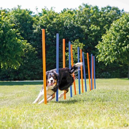 Trixie Dog Activity agility szlalom szett