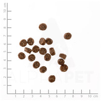 Belcando Finest Grain-Free Salmon #9