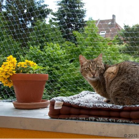 Átlátszó védőháló erkélyre macskáknak