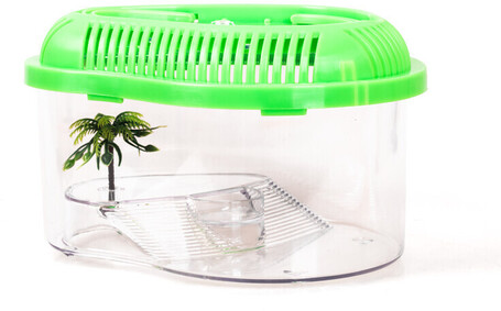 Fauna-box kis kilépő szigettel, azon pálmafával