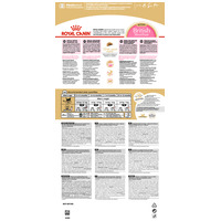 Royal Canin British Shorthair Kitten - Brit rövidszőrű kölyök macska száraz táp #8