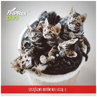 Fiprex Duo (~ Combo) rácsepegtető oldat macskáknak és vadászgörényeknek #2