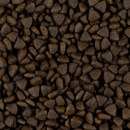 Sam's Field Grain Free Adult Salmon & Herring