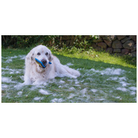 Segítünk átvészelni a vedlési időszakot!