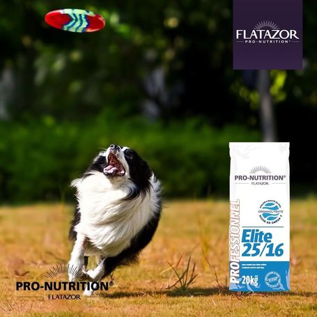 Flatazor Professionnel Elite 25/16