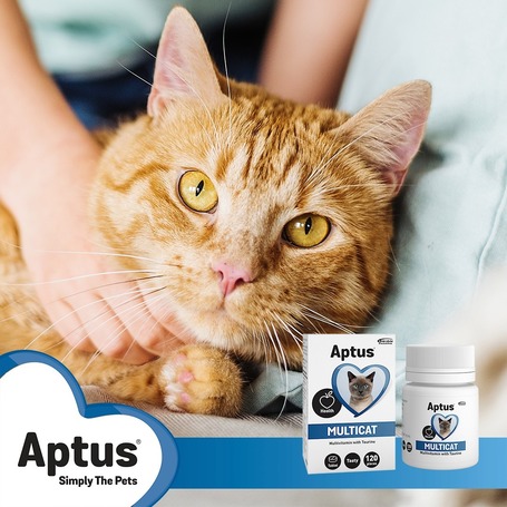 Aptus Multicat tabletta | Táplálékkiegészítő tabletta macskáknak