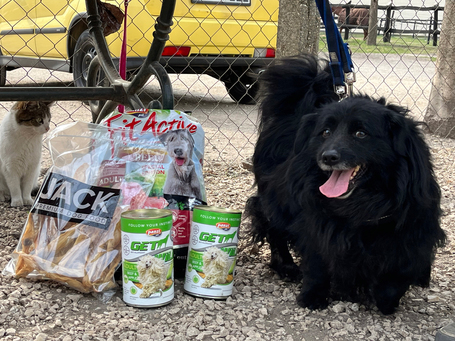 Luke, 6 éves, 40 cm magas, kan