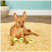 Kong Squeakair teniszlabdák #9