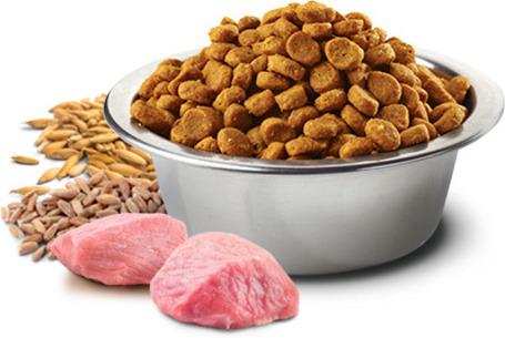 N&D Tropical Selection Dog Adult Medium/Maxi Pork