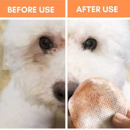 OurDogsLife szemkörnyéktisztító kendő