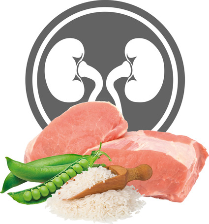 Exclusion Cat Renal Pork & Pea and Rice Phase II konzerv