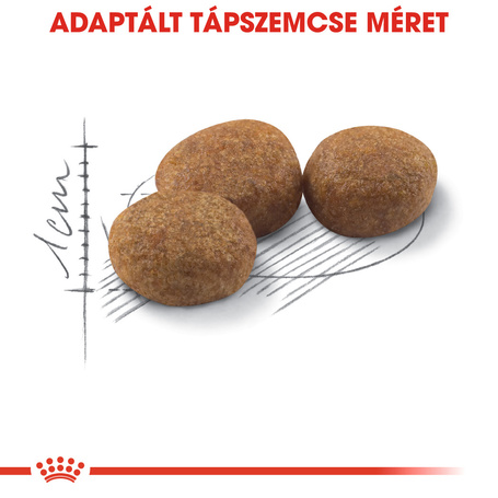 Royal Canin Sterilised - Ivartalanított felnőtt macska száraz táp