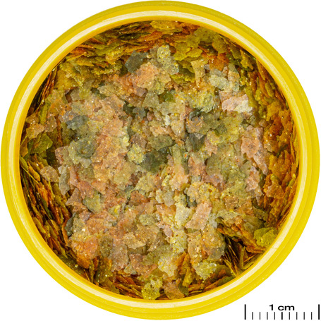 JBL ProNovo Bel Flakes S lemezes alapeleség