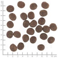 Wolfsblut VetLine Skin & Coat #2