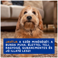 Douxo Spa gubancoldó spray kutyáknak #4