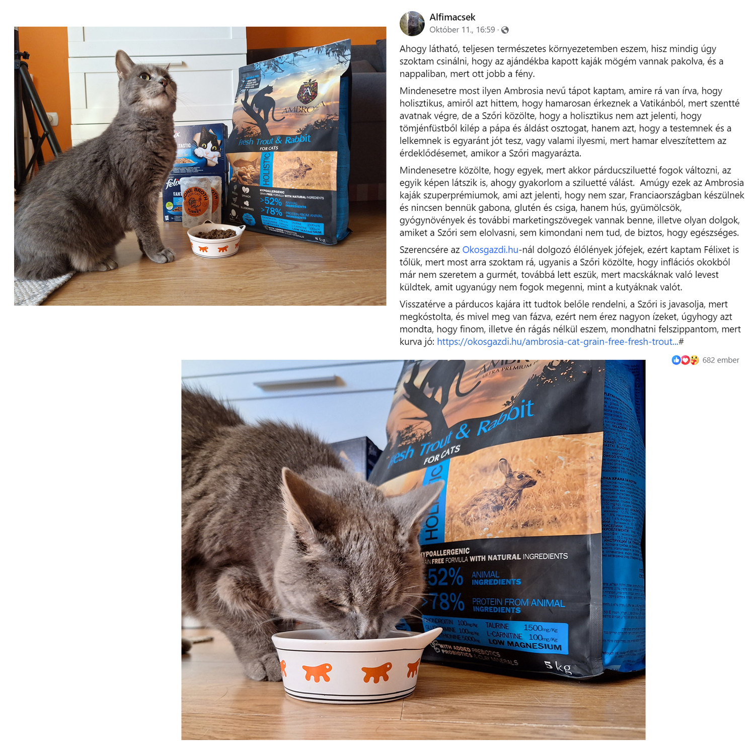 Ambrosia Cat Grain Free Fresh Trout & Rabbit | Hrană pentru pisici fără cereale, cu păstrăv proaspăt și carne de iepure - zoom