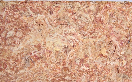 Trixie trópusi moha terráriumba