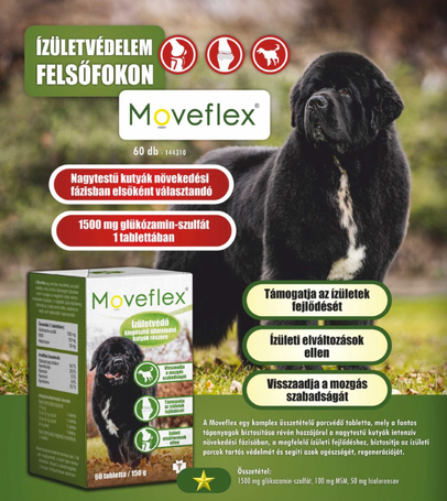 Moveflex ízületvédő tabletta kutyáknak