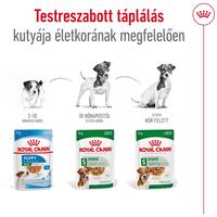Royal Canin Mini Ageing  | Nedves táp kistestű idős kutya részére #7
