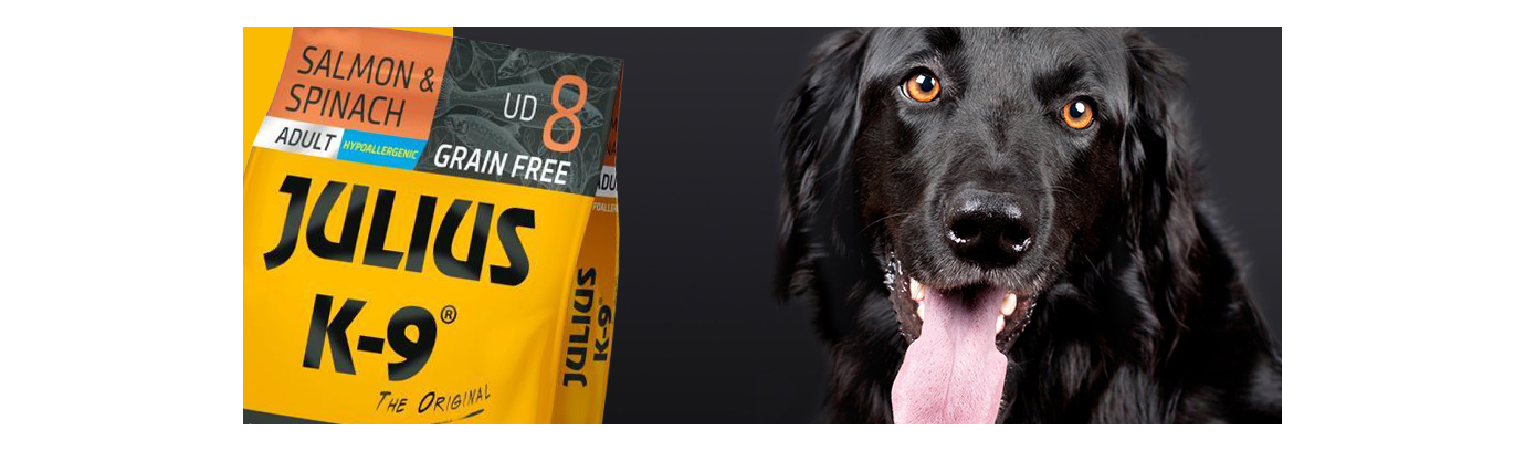 Julius-K9 GF Hypoallergenic Adult Salmon & Spinach