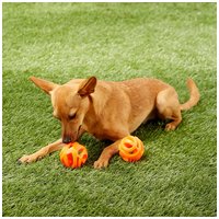 Chuckit! Air Fetch / Breathe Right labda kutyáknak #8