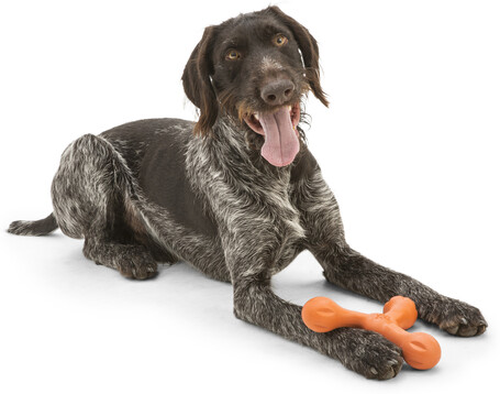 West Paw Skamp - Apport kutyajáték