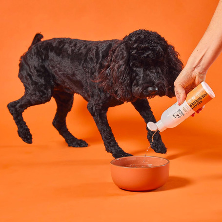 OurDogsLife Dental oldat fogkő és szájszag ellen kutyáknak