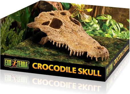 Exo Terra krokodil koponya dekor terráriumba