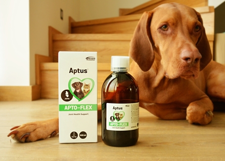 Aptus Apto-Flex ízületvédő szirup