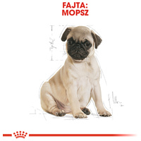 Royal Canin Pug Junior - Mopsz kölyök kutya száraz táp #2