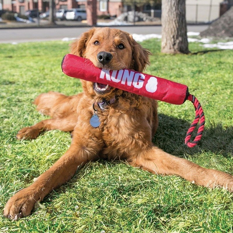 KONG Signature Stick jucărie de tras pentru câini - zoom